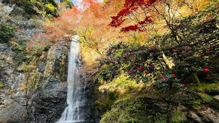 Japan travel blog – travel tips, experiences, and guides ｜ 日本旅行ブログ（体験記・旅行ガイド・観光情報）