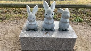 Contact Japan Travel Guide – inquiries, advertising, and collaborations ｜ お問い合わせ（取材・広告掲載・コラボ依頼）