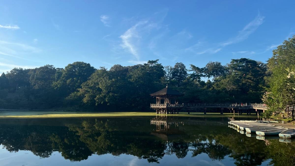 Explore Japan’s beauty – travel guide with sightseeing, food, and pet-friendly trips ｜ 日本観光・旅行ガイド｜観光地・グルメ・ペット旅